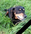 Cita z Hlubočského údolí